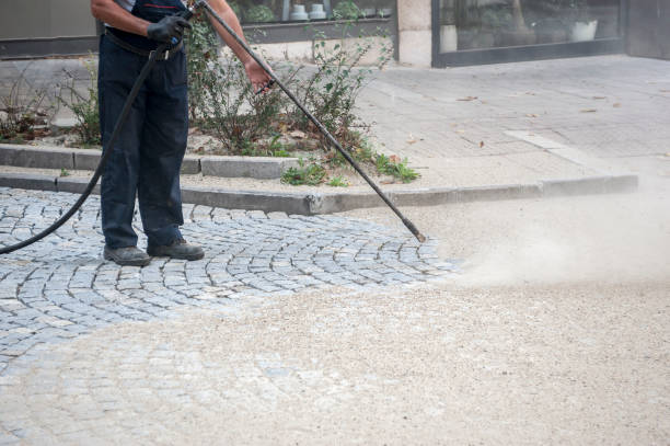 Animal Enclosure Cleaning in Onsted, MI